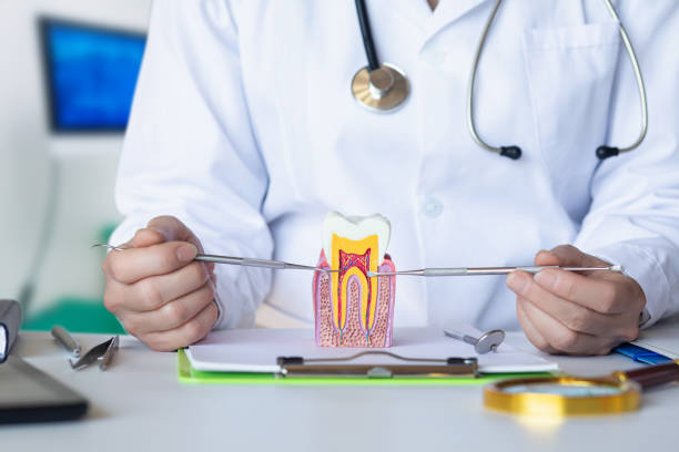 Best Emergency Root Canal Treatment in Newberry, FL